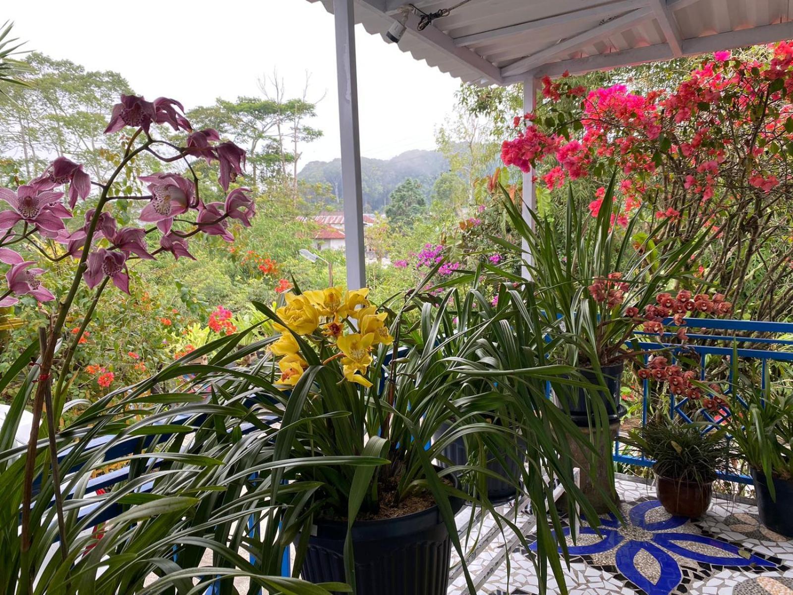 Rumah Container Bedugul 贝都古 外观 照片