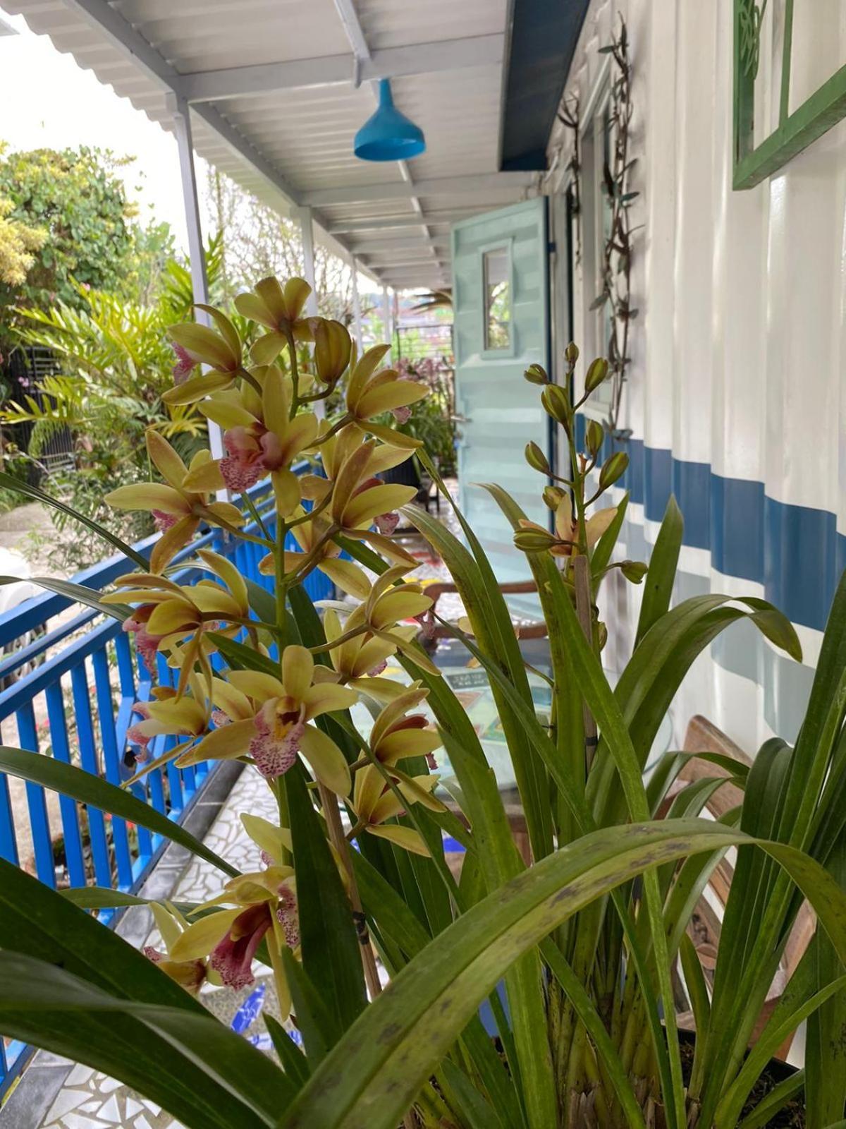 Rumah Container Bedugul 贝都古 外观 照片
